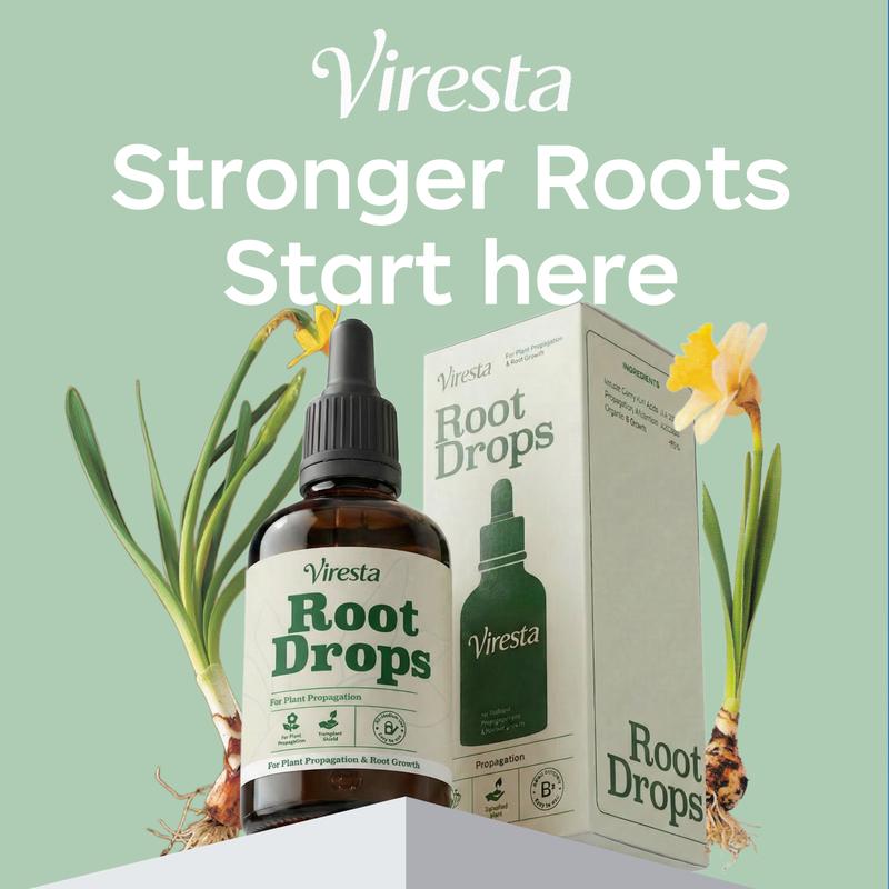 Nurelia Root Drops™